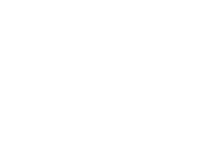 KIM JUNSU