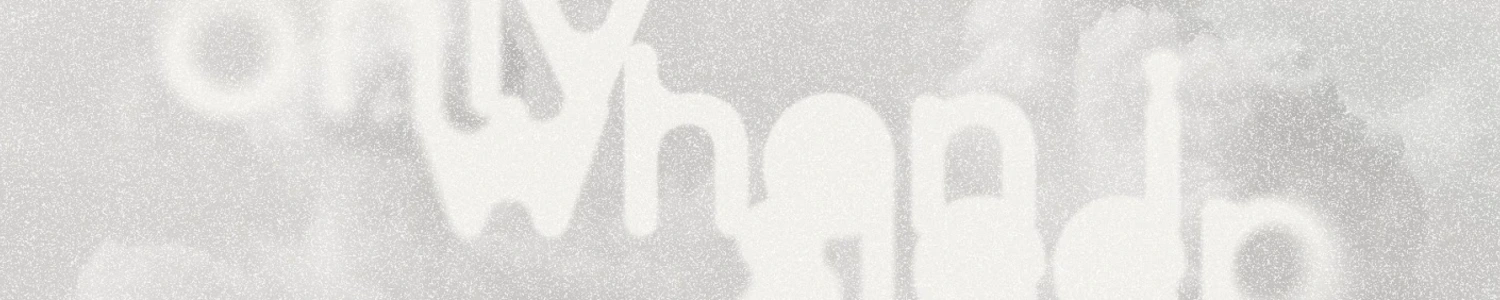 OWIS banner