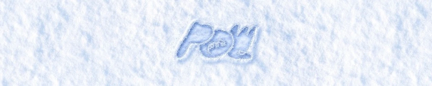 POW banner